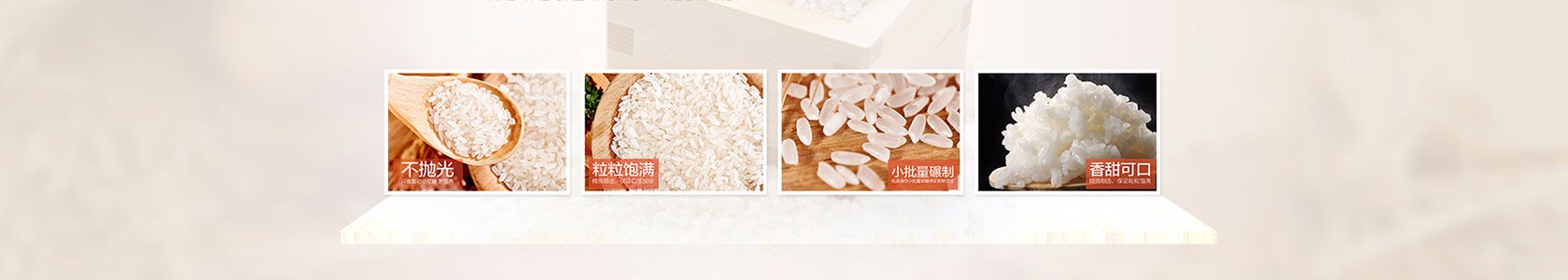 福州市腾飞网络有限公司